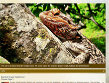 Tablet Screenshot of beardeddragontime.com